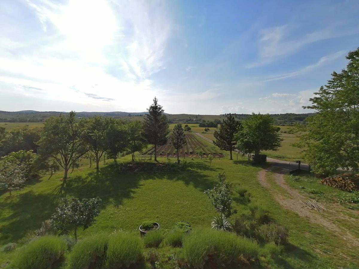 Apartment Ajda Udbina Екстер'єр фото